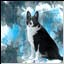 Mein Hund